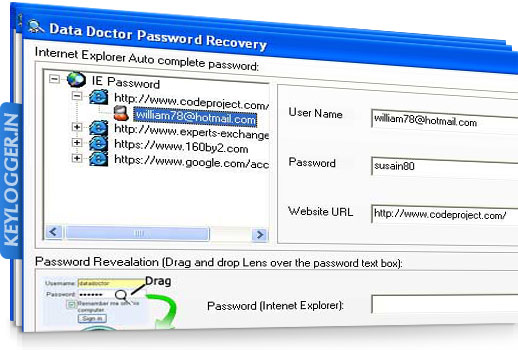 Internet Explorer Password Recovery and Unmask Tool